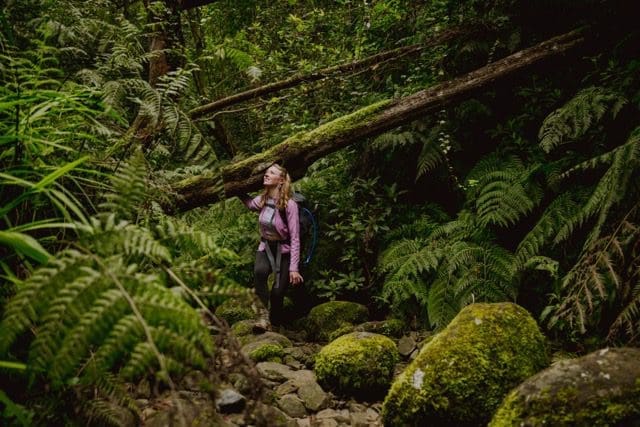 Groepsreis Madeira - Rondreis Madeira - Trektocht Madeira - Soloreizigers Madeira - Madeira Solo