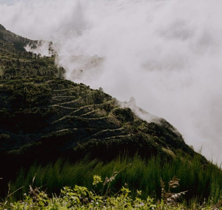 Groepsreis Madeira - Rondreis Madeira - Trektocht Madeira - Soloreizigers Madeira - Madeira Solo