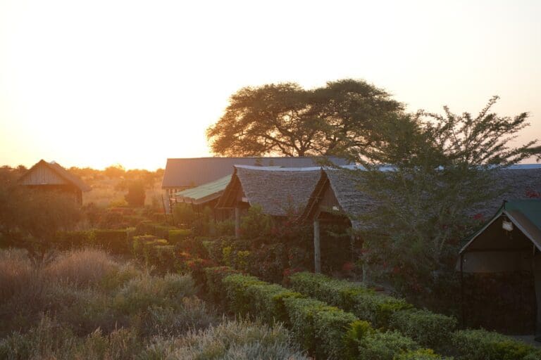 thatched roof bungalows at Amboseli Discovery Camp at sunset