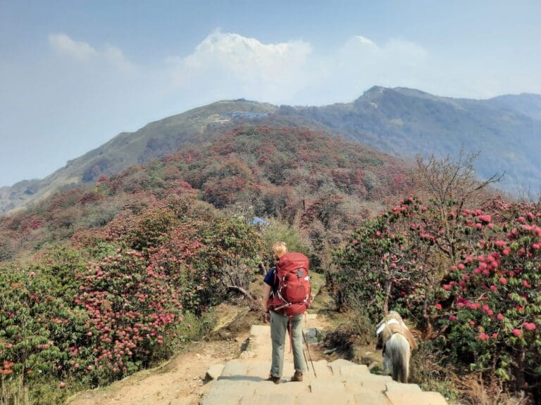 Groepsreis Nepal - WeAdventures Nepal - groepsreizen Nepal - rondreis Nepal