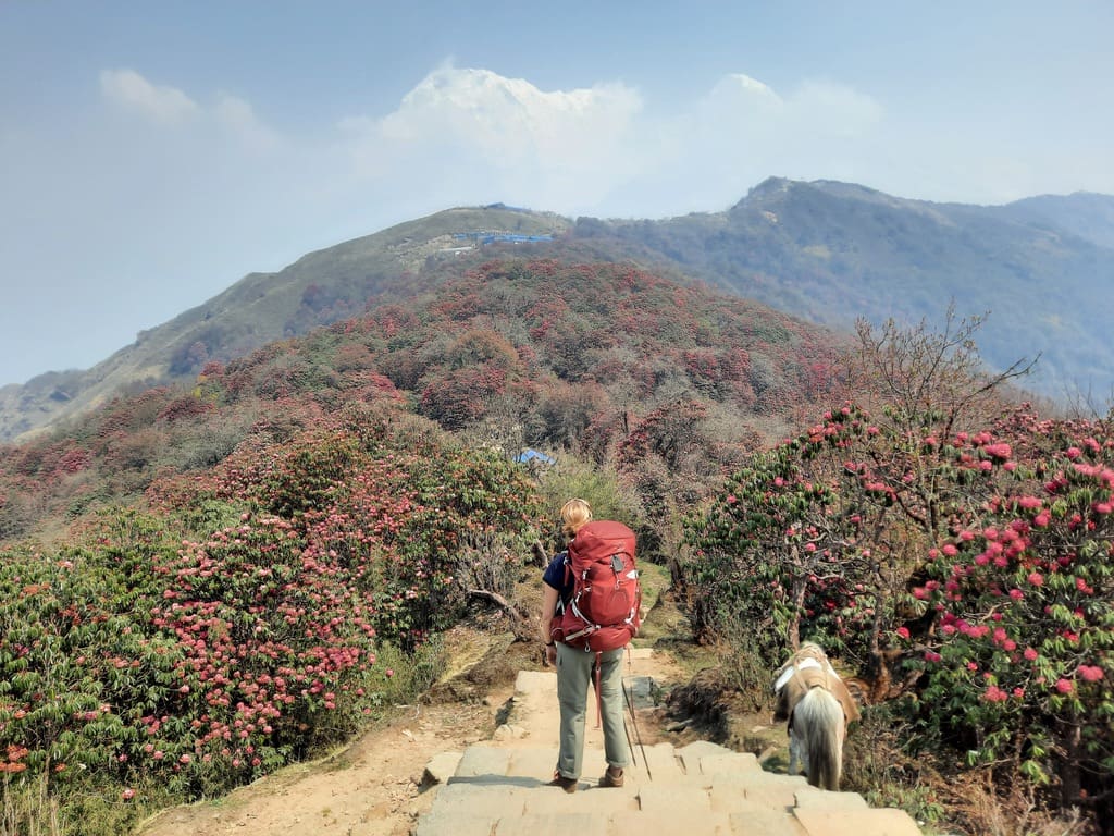 Groepsreis Nepal - WeAdventures Nepal - groepsreizen Nepal - rondreis Nepal