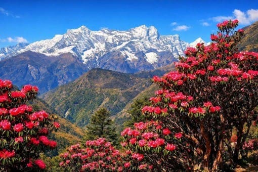 Groepsreis Nepal - WeAdventures Nepal - groepsreizen Nepal - rondreis Nepal