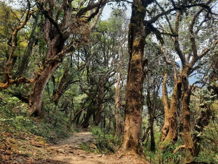 Groepsreis Nepal - WeAdventures Nepal - groepsreizen Nepal - rondreis Nepal